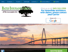 Tablet Screenshot of batesinsg.com